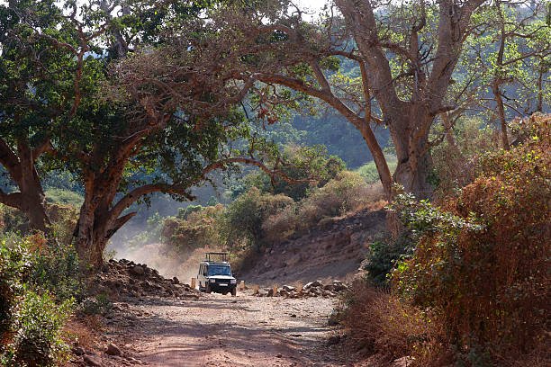 5 Days Safari From Moshi: Best Guide 2026-2027-2028
