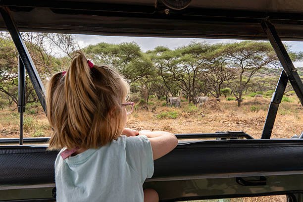 Tarangire Day Trip From Moshi: Best Safari Guide 2026-2027-2028
