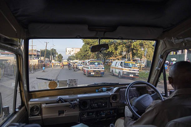 Shared 1 Day Nyerere Safari From Zanzibar: Fly-In, Fly-Out | Top Best