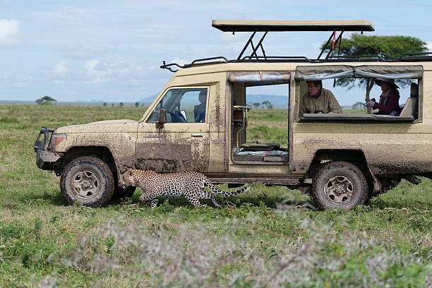 9-Day Katavi And Mahale Safari: Unveiling Tanzanias Wildest Frontiers