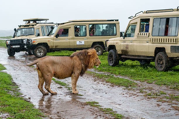 Group Sharing Saadani Safari From Zanzibar: Best Guide 2026-2027-2028