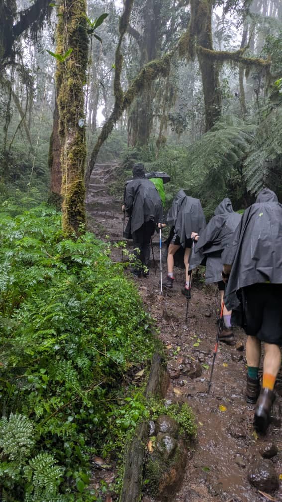 August Kilimanjaro Group Departures : Plan Your Climb With Top Guide